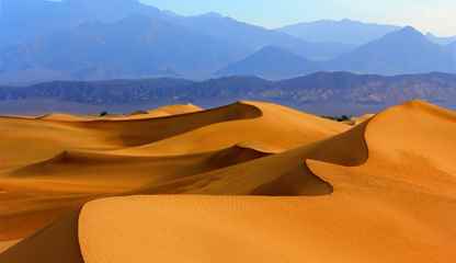 Sharm El Sheikh