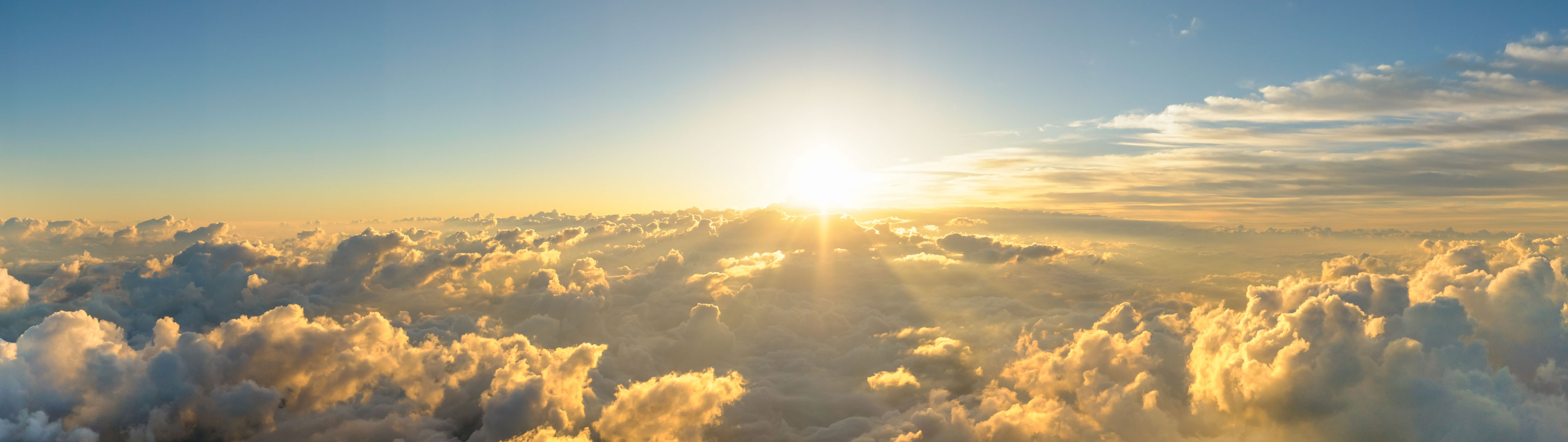 Cheap last minute flights airline tickets