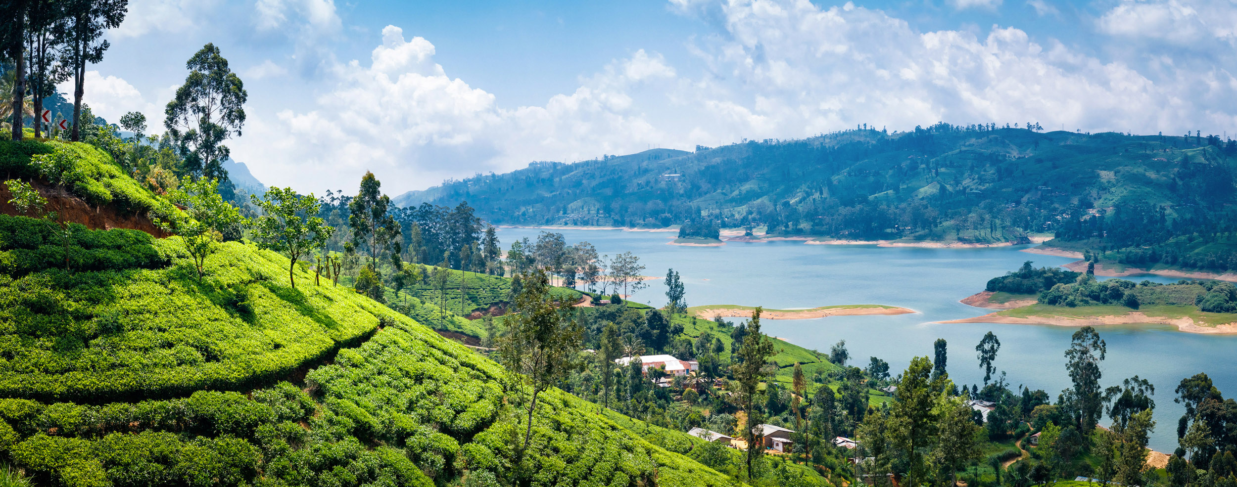 Cheap flights to Sri Lanka from £650 Sri Lanka flights with Netflights