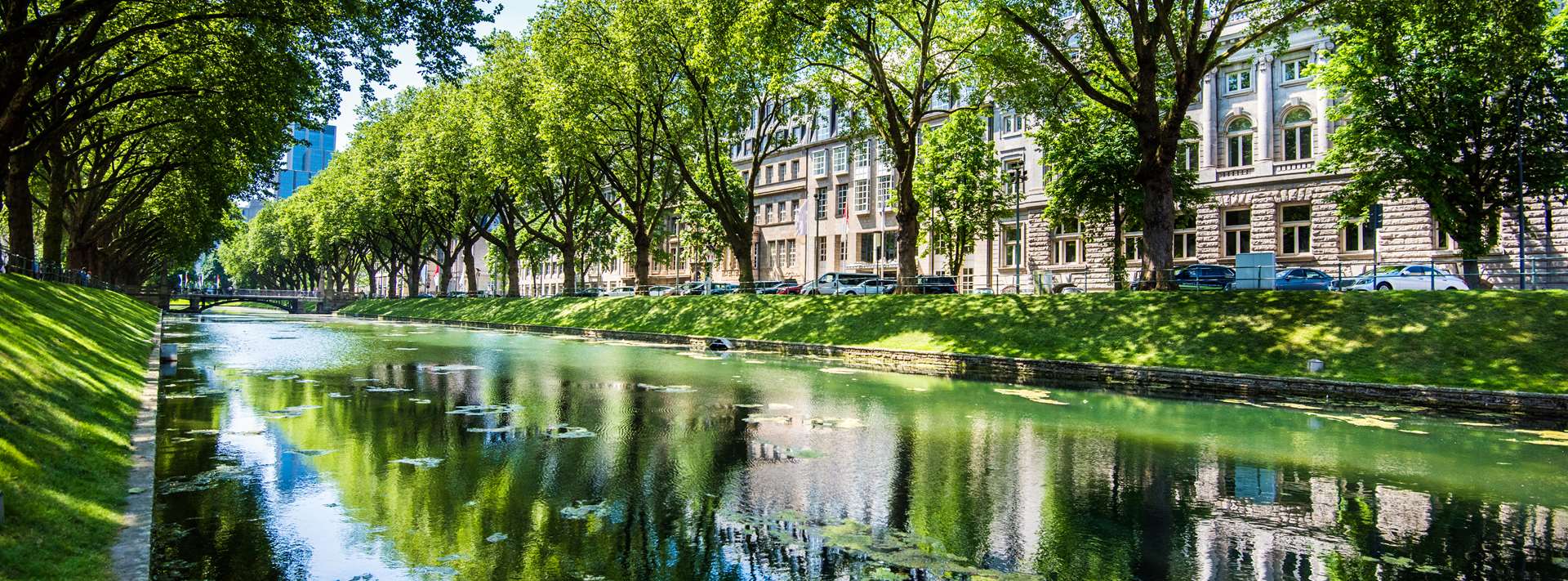 Cheap flights to Dusseldorf (DUS) from Netflights Cheap flights to Dusseldorf (DUS) from Netflights