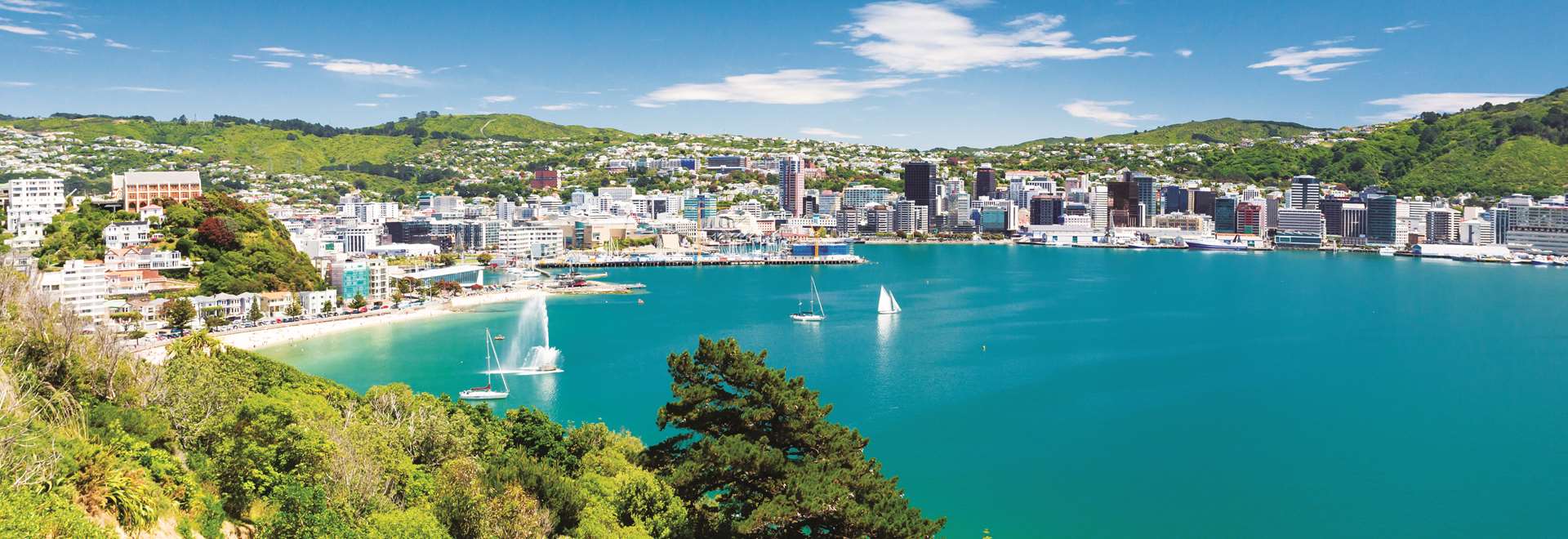 Holidays to Wellington 2024