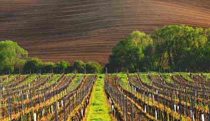 Bergerac