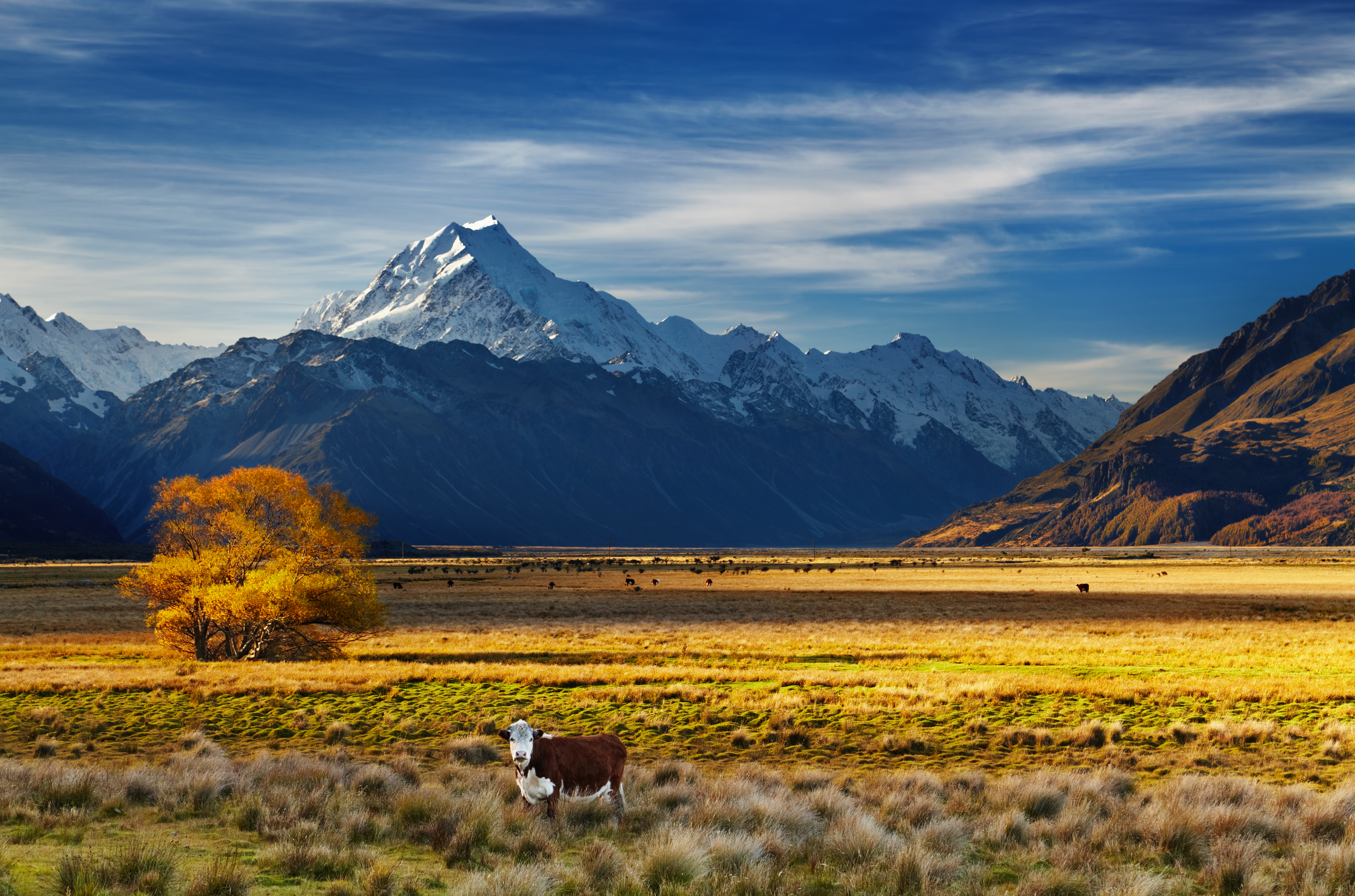 Cheap Flights To New Zealand From £599 | New Zealand Flights With ...