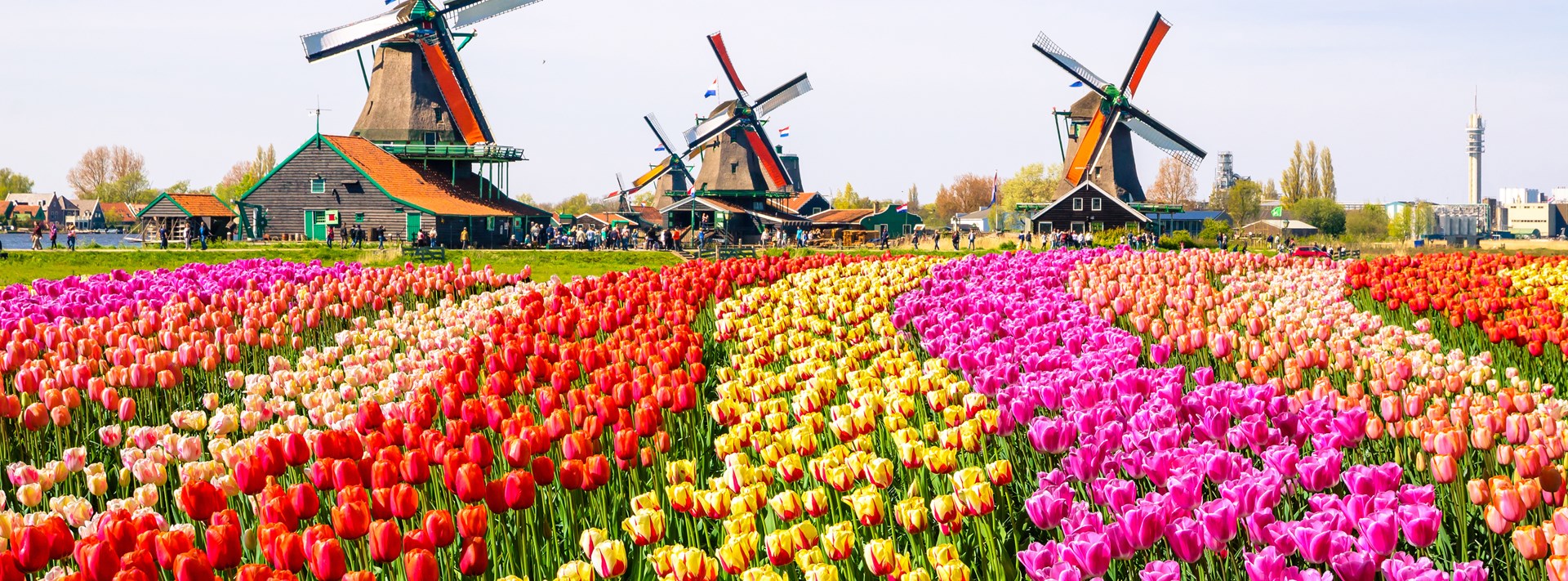 Netherlands